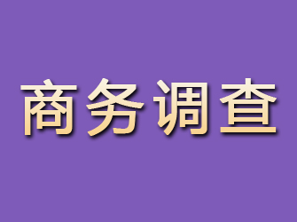 居巢商务调查